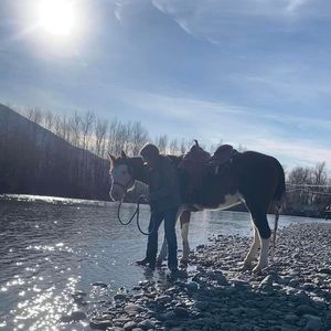 Meet your Posher, Gail